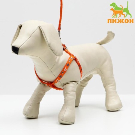 AMUNICE COMMUNICATION "DOGA", leash 120 x 1 cm, OG 27-42 cm, orange