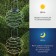 Lamp Garden Era on the Sun Battery "Spiral" LED, IP54