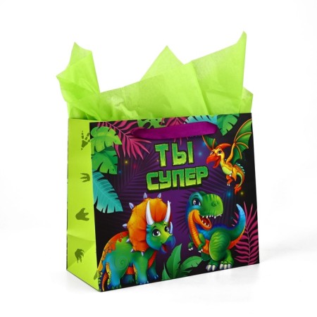 Packet laminated bilateral "dinosaurics", with quiet and postcard, ml, 23 × 27 × 11.5-1