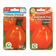 Seed Tomat 
