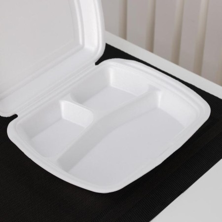 Disposable lunch box, 24.7 × 20.6 × 7 cm, 3 sections, white color-3