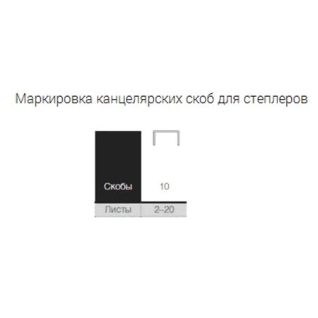 Stapes No. 10 Calligrata, 1000 pcs.-5