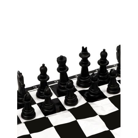 Chess 22 x 22 cm, King H-4.4 cm, d-1.8 cm, plastic figures-3