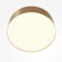 Technical C032CL-24W3K-RD-MG, LED, 24 W, 220x220x60 mm, 1420 lm, 3000K, 2835, matte gold, matte gold
