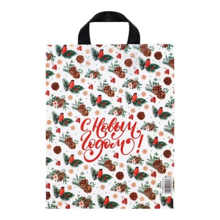 Package "New Year's Style", polyethylene with a loop pen 28 x 35, 50 μm-1