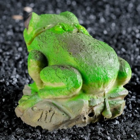 Spray "Frog", 10 x 8 x 7 cm-2