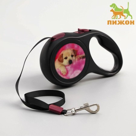 Roulette with a print "cutie", 3 m, animal weight up to 12 kg, black