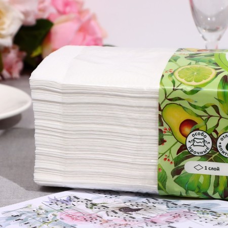 Paper towels Plushe Home, V-1 layer, 250 sheets-2