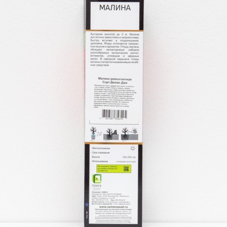 Raspberry repair varieties "Joan Ji", 1 pc, tube, spring 2025-2