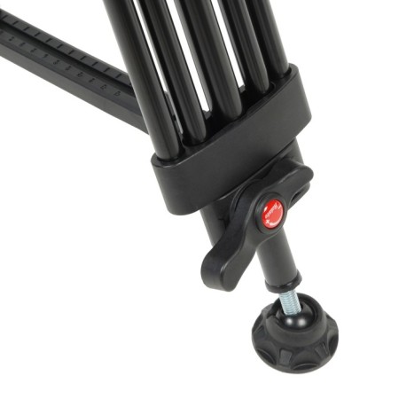 Greenbean Videomaster 309MS DISPECTION-6
