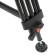 Greenbean Videomaster 309MS DISPECTION
