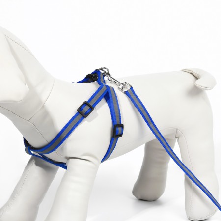 A set with a reflective tape, a collar 120 x 1 cm, OG 26-40 cm, blue-3