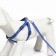 A set with a reflective tape, a collar 120 x 1 cm, OG 26-40 cm, blue