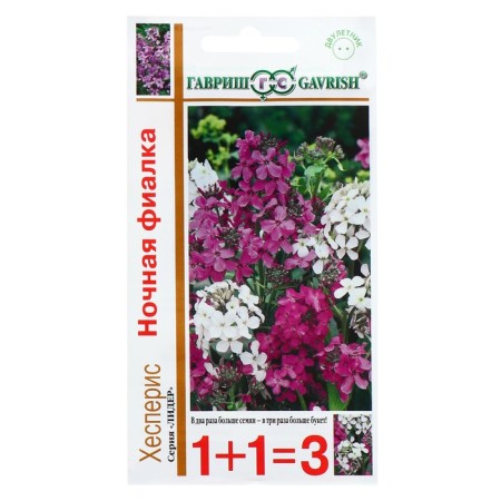 Flowers Hesperis "Night violet", 0.4 g