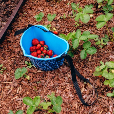 Container for collecting berries, 3 l, “blueberries”, blue-11
