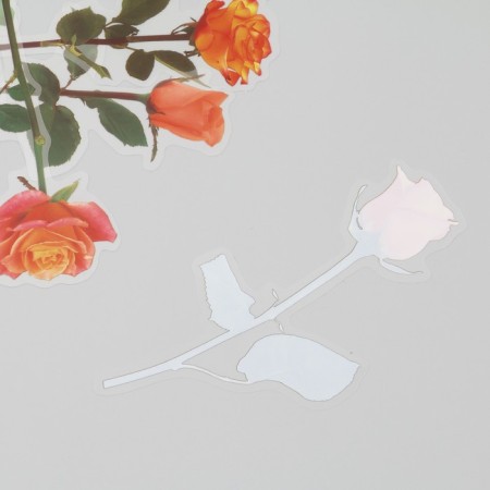 Plastic stickers "Flowers and quotes. Yellow-orange" set 12 pcs 8.5x21.5x0.2 cm-1