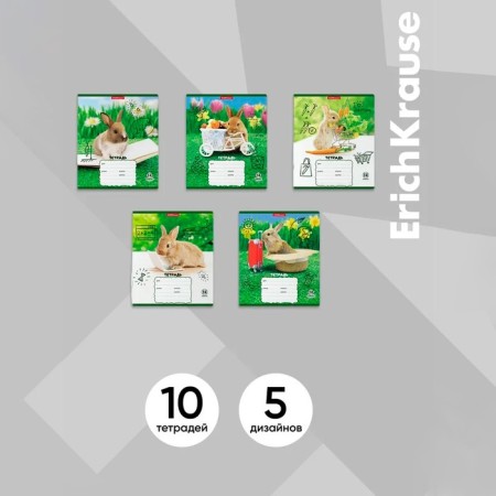 Notebook 12 sheets, cage, erichkrause, rabbits, mix-20