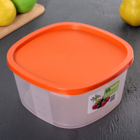 Container for products with a measuring scale "Biofresh", 2.65 l, color mix-6