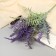 Bouquet "Nephrolepis Blechnum" 39 cm, mix