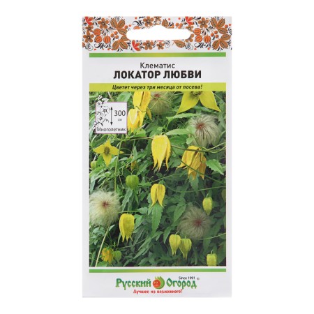 Flowers Clematis "Love locator", 20 pcs