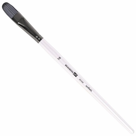 System of Synthetics 10 pieces, Brauberg Art Debut, in the PVC Penal-4