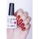 Solomeya Color Gel Puce gel polish, 8.5 ml