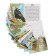 Training cards "Migratory birds of Russia", 16 cards