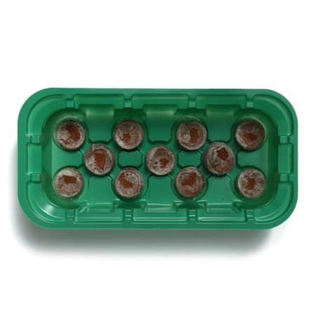 Mini-Pirate for seedlings: coconut tablet D = 3 cm (11 pcs.), Greenhouse 24 × 12 cm, jiffy-3