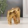 Souvenir Polystone "Abstraction. Golden Elephant" 7.2x5.2x8 cm