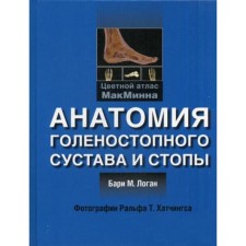 Анатомия голеностопного сустава и стопы. Логан Б.М.