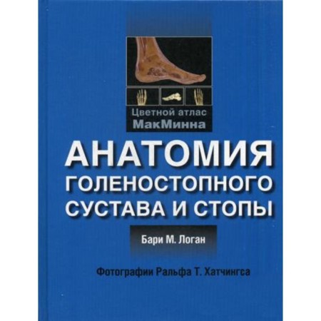 Anatomy of the ankle joint and foot. Logan B.M.