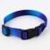 Collar “even on the edge of the world”, fastener - fastx, 2 cm 25-40 cm