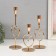 Climber Metal "Aurelius" set 3 pcs gold d = 2cm height 26; 20.5; 16.5 cm 9.5x8x26 cm