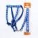 The set of stitched "paws", width 1 cm, leash 120 x 1 cm, og 23-35 cm, blue