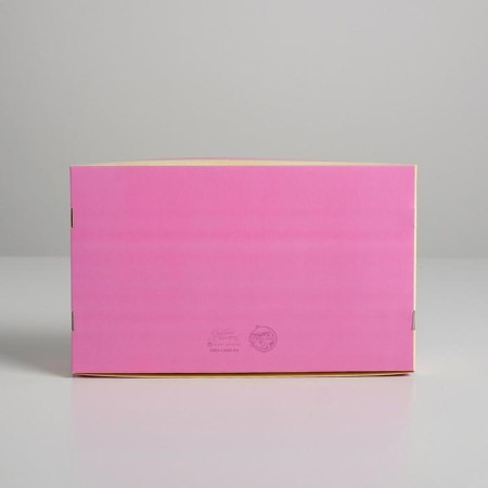 Eclaire box, confectionery packaging, 5 inserts, Perfect Tasty, 25.2 x 15 x 7 cm-3