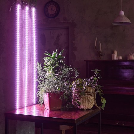 Lamp for plants LED linear, 1200 mm Uniel, 60 W, LED, IP65, Color transparent-4