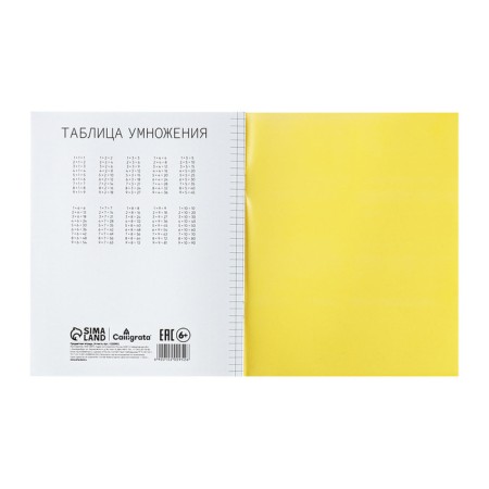 Notebook 24 sheets in Calligrata "Yellow", a plastic cover, with a multiplication table, an offset unit-4