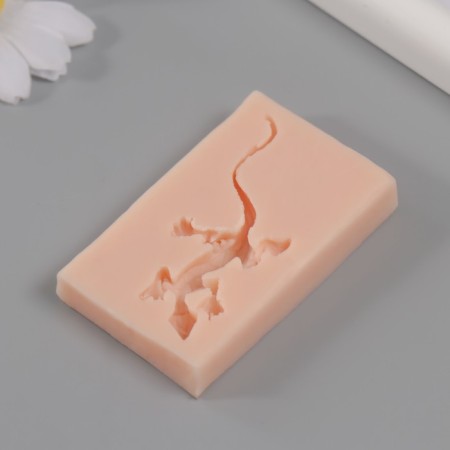 Silicone "lizard" 5.7x3 cm mix-3