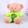 Soft toy "Bear in a dragon costume", 20 cm