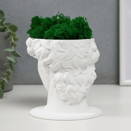 Concrete Kashpo "David" with moss white 11.5x15.5x12 cm (moss green stabilized)-2