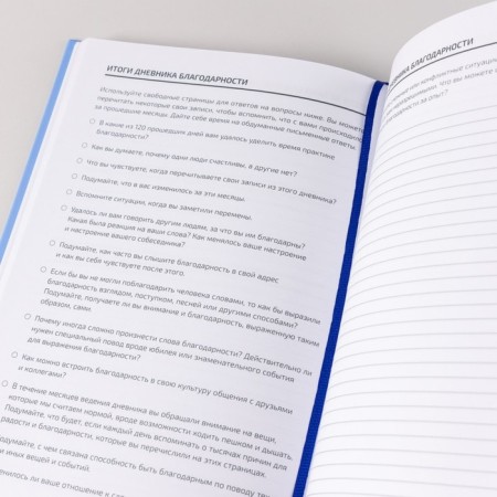 Vedeneeva diary. GRATITUDE DIARY. Vedeneeva V.-6