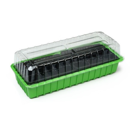 Mini-Pirate for seedlings, 40 × 16 × 13 cm, 2 inserts, 18 cells, Greengo-1
