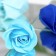 Soap roses, colored shades, set of 12 pcs.