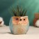 Pot "Owl Ava" 6.5x6.5x6cm, blue
