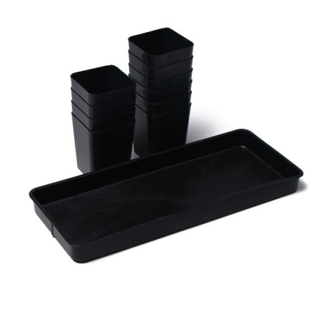 Set for seedlings: glasses of 700 ml (10 pcs), pan 44 × 18 cm, black, Greengo-11
