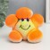 Growing gift Eco -Zhizhivchik "Sunny" Mix
