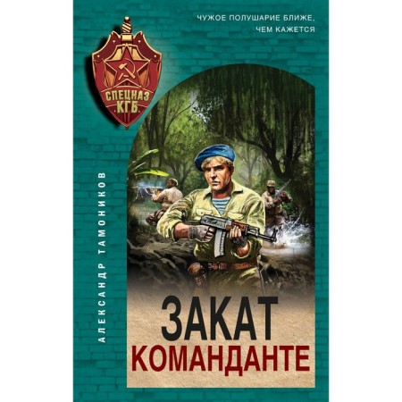 Sunset commandante. Tamonikov A.A.