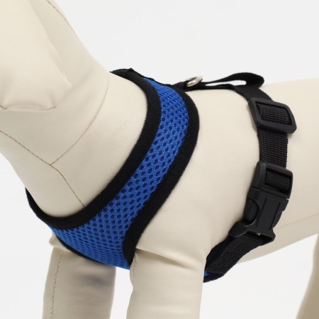 Slut is soft from neoprene, size S, Osh 24 cm, fire 24-34 cm, blue-1