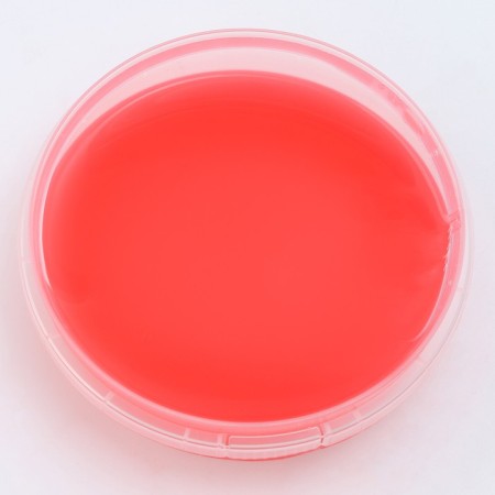 Slime "Plus. Congratulations, you are aging »Container 125-2