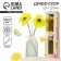 The diffuser aromatic “flowing from happiness”, the aroma of citrus, 100 ml.